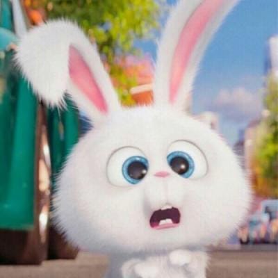 چوہدری شجاعت avatar