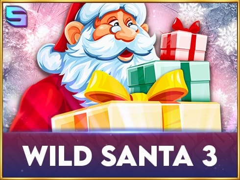 Wild Santa 3 screenshot