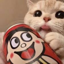 اسماء اقبال avatar