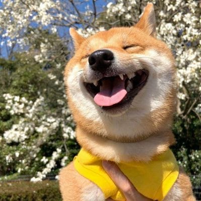 ارسلان نصیر avatar